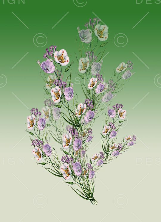 定位花卉印花华亿平台图片