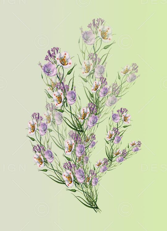 定位花卉印花华亿平台图片