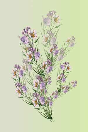 定位花卉印花华亿平台图片