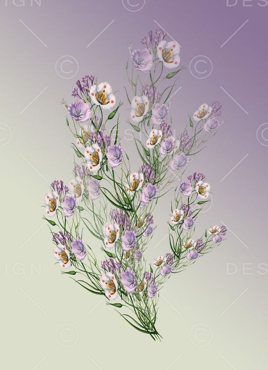 定位花卉印花华亿平台图片