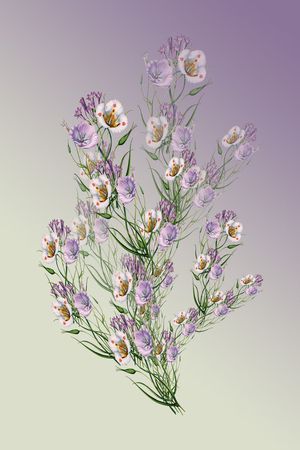 定位花卉印花华亿平台图片