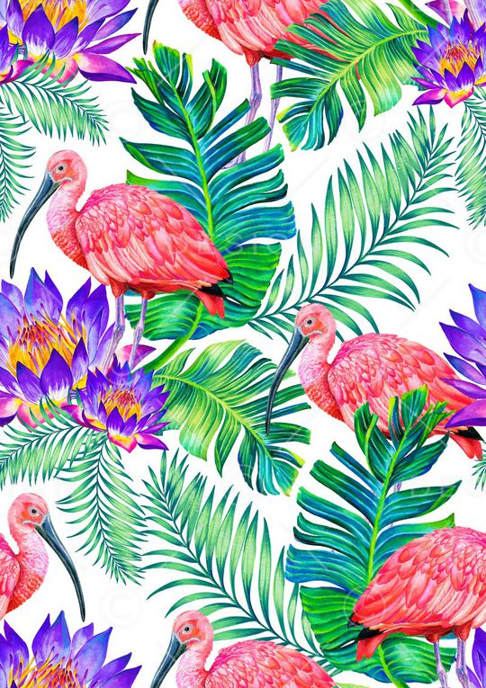 服装印花图案印花华亿平台图片