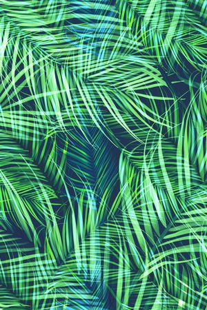 服装印花图案印花华亿平台图片