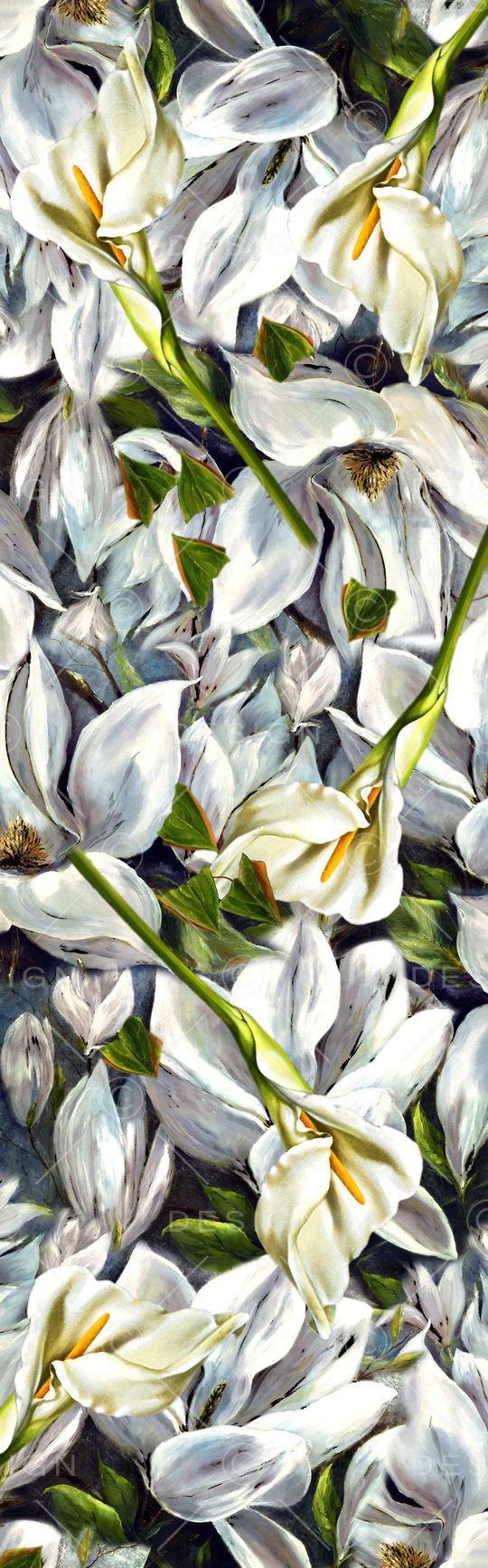 披肩长巾印花华亿平台图片