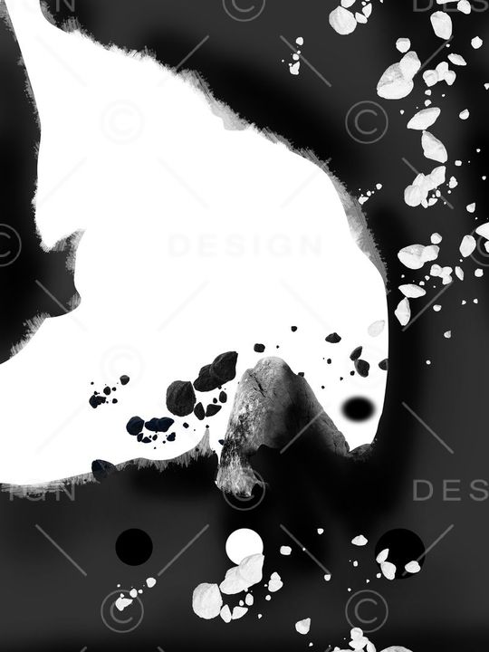 纪梵希GIVENCHY风格华亿平台印花华亿平台图片