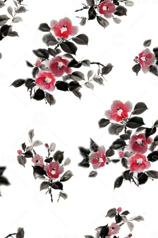 国画花卉印花华亿平台图片