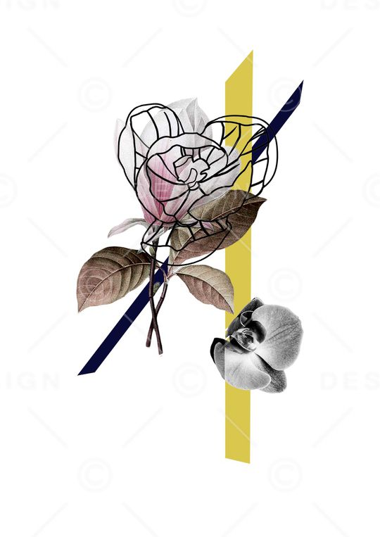 优雅印花华亿平台图片