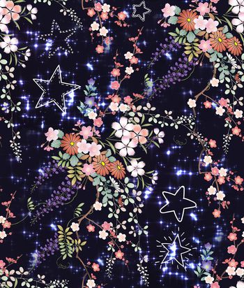 695914-繁空-几何星空花卉I