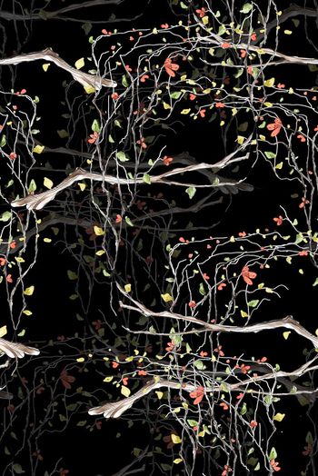 696052-wal-160823-3-1