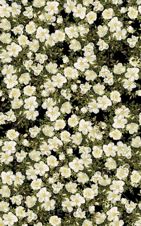 小碎花印花华亿平台图片