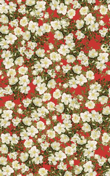 696061-wal-160825-6 (2)