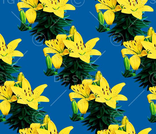 绿叶印花华亿平台图片