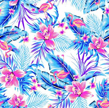 696389-热带兰花火烈鸟-Color 3