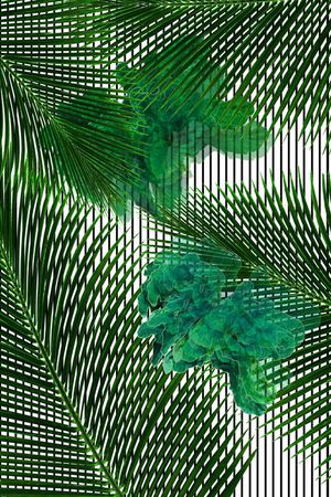 热带印花华亿平台图片