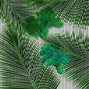 热带印花华亿平台图片