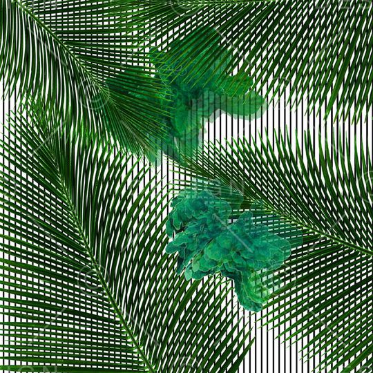 热带印花华亿平台图片