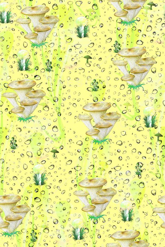 水珠点印花华亿平台图片