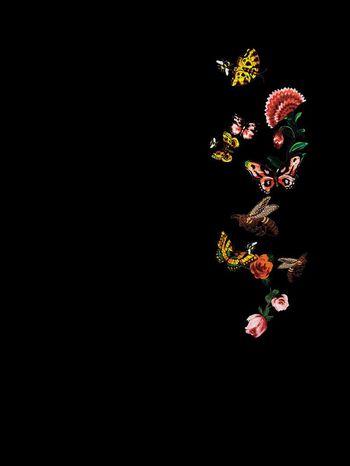 696575-838816082606a