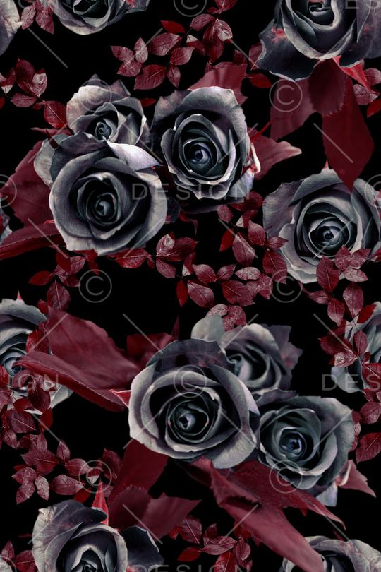 玫瑰花印花华亿平台图片