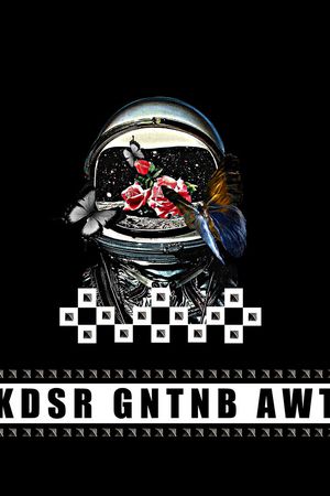 蝴蝶印花华亿平台图片