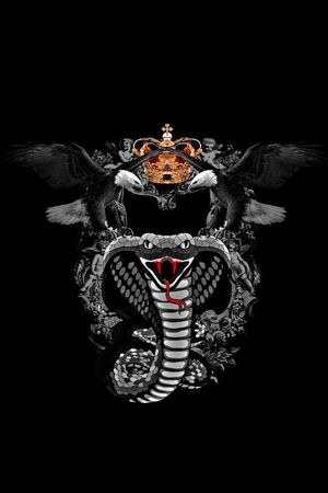 蛇印花华亿平台图片