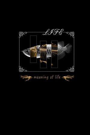 动物鱼印花华亿平台图片