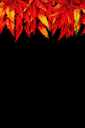 树叶印花印花华亿平台图片