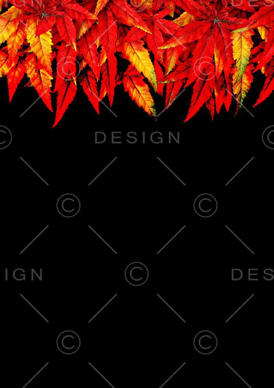 树叶印花印花华亿平台图片