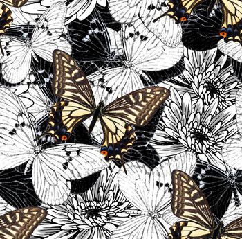 翅膀印花华亿平台图片