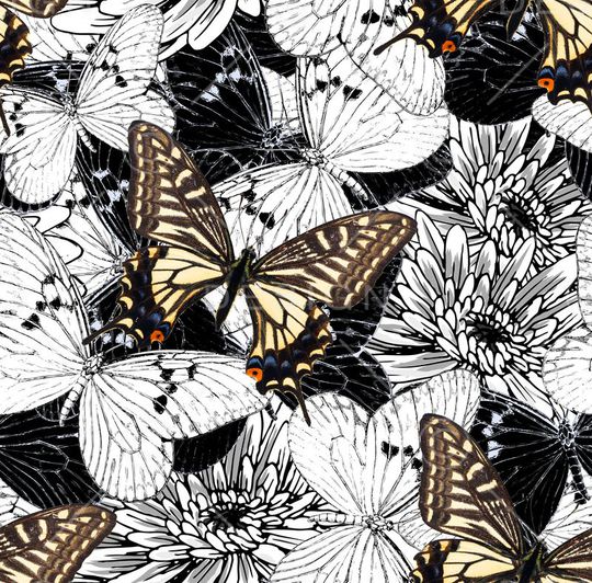 翅膀印花华亿平台图片