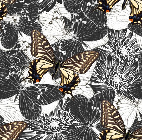 翅膀印花华亿平台图片