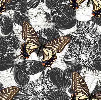 696812-原创蝴蝶纹理