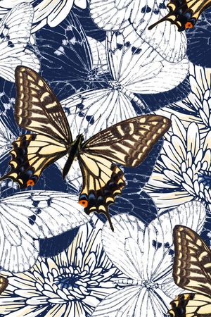 翅膀印花华亿平台图片