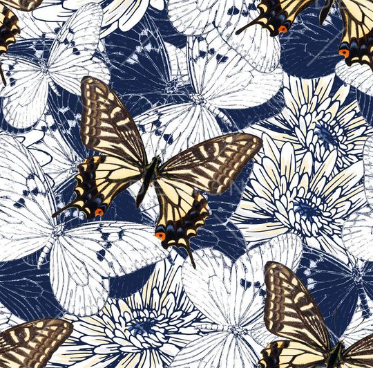 翅膀印花华亿平台图片