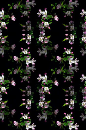 696832-160829-青蓝雅韵-2-2