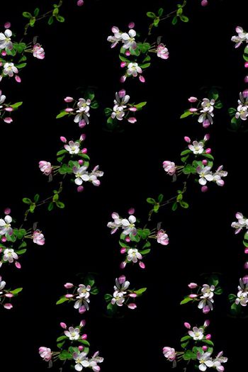 696834-160829-青蓝雅韵-2-4