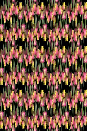 植物花卉印花华亿平台图片