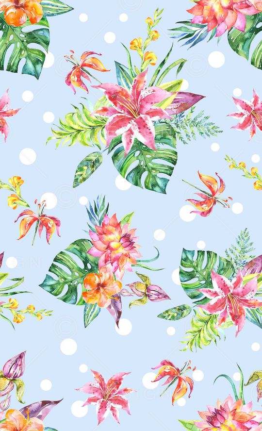 雨林密踪印花华亿平台图片