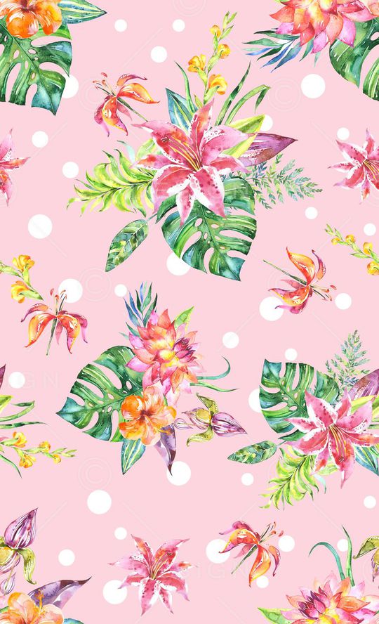 雨林密踪印花华亿平台图片