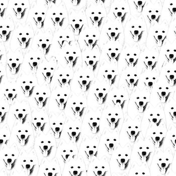 697002-微笑天使萨摩耶白