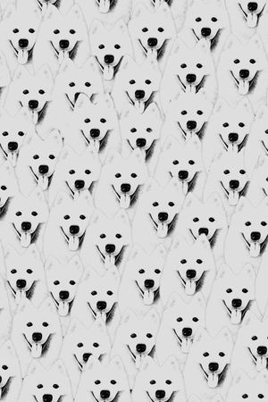 动物印花华亿平台图片