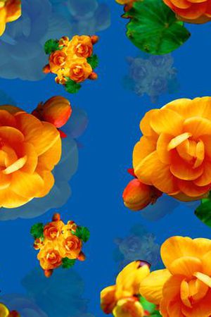 绿叶印花华亿平台图片