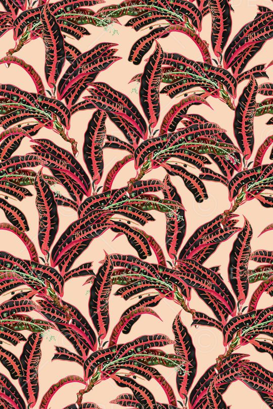 热带印花华亿平台图片