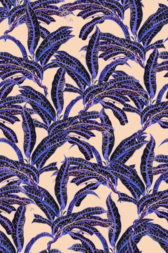 热带印花华亿平台图片