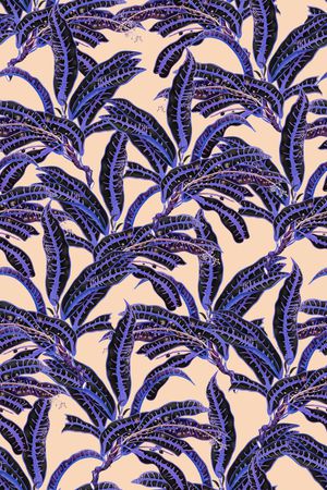 热带印花华亿平台图片