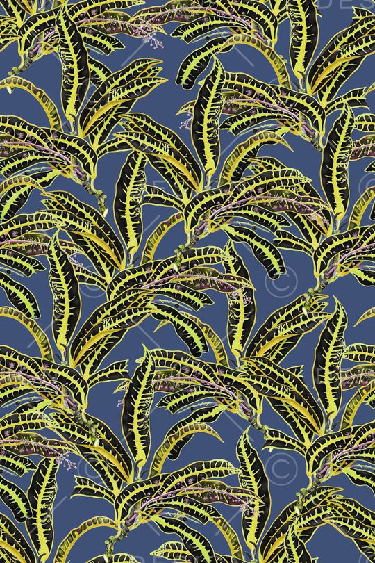 热带印花华亿平台图片