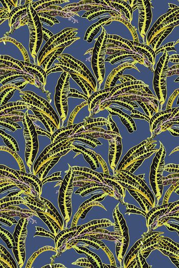 热带印花华亿平台图片