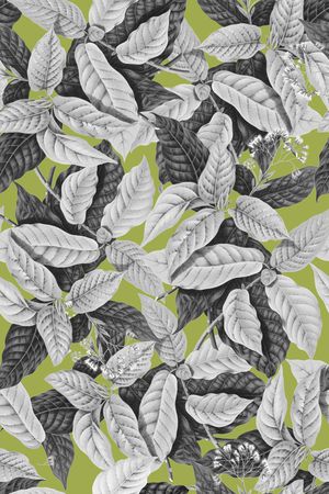 热带印花华亿平台图片