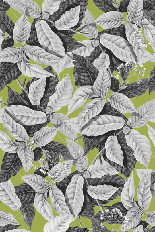 热带印花华亿平台图片