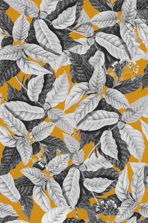 热带印花华亿平台图片